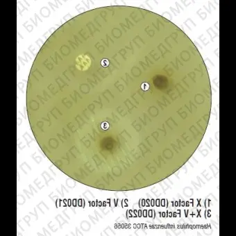 Диски с дифосфопиридиннуклеотидом для дифференциации видов Haemophilus 1фл.х50дисков