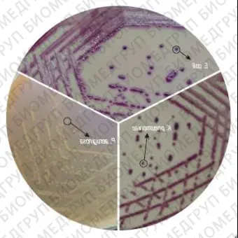 Агар HiCrome ECC для дифференциации E.coli и колиформных бактерий 100 г ФСЗ 2009/03705