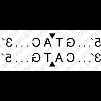 Эндонуклеаза рестрикции RsaI, 10 000 ед/мл, New England Biolabs, R0167 L, 5 000 единиц