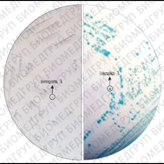 Агар HiCrome для выделения и идентификации Enterobacter sakazakii модифиц. 100 г ФСЗ 2009/03705