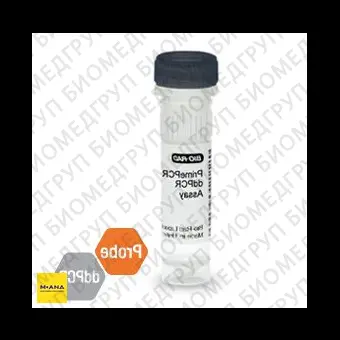 Набор KRAS G12D мутация PrimePCR ddPCR, 200 реакций, BioRad, 1863112