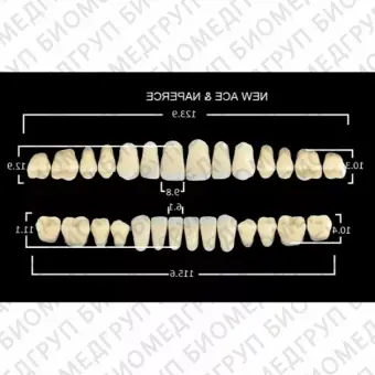 Гарнитуры пластмассовых зубов SS2 M28, цвет A1, 28 шт.