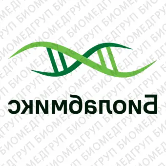 Мастермикс БиоМастер HSqPCR HiROX SYBR 2 для проведения ПЦР в реальном времени с интеркалирующим красителем SYBR Green I и референсным красителем ROX в высокой концентрации400 реакций