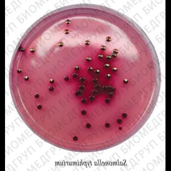 Сорбитолагар для выделения и дифференциации E.coli 0157:Н7 и других энтеробактерий 0,25 кг