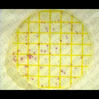 Микробиологические экспресстесты для определения Staphylococcus aureus, за 2448 ч, Petrifilm, 25 шт./уп., 3M, 6491