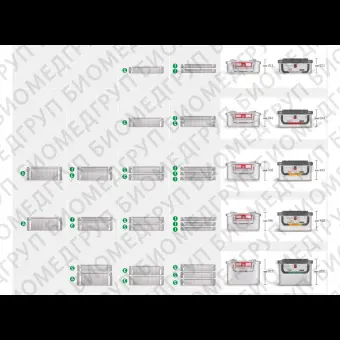 Контейнер для стерилизации marSafe 1/2, красная рамка, 303016 см KLS Martin