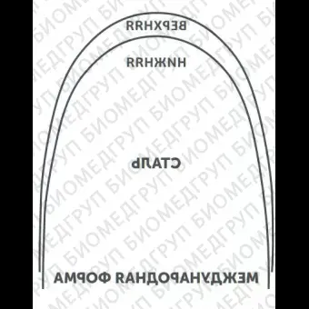 Дуги ортодонтические международная форма нижние INT NiTi TA L .017x/.025/.43x.64 OrthoClassic