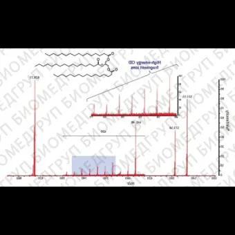 Массспектрометр МАЛДИ, до 500 кДа, точность до 2 ppm, разрешение по массам до 25000 FWHM, с рефлектроном, ячейкой соударений, с TOF системой, высокопроизводительный, напольный, MALDI7090, Shimadzu, MALDI7090