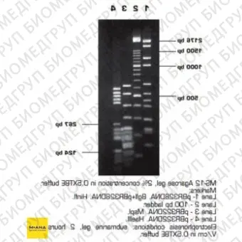 Агароза, низкий EEO, MS12, Molecular Screening, повышенная четкость разделения фрагментов 501500 п.н., Импорт, 1946.0100, 100 г