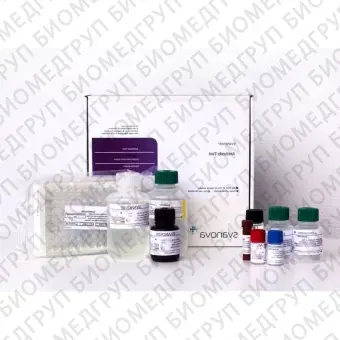 Набор реагентов SVANOVIR BLV gp51Ab Confirmation для обнаружения антител к лейкозу КРС методом ИФА стрипованные планшеты2 планшета