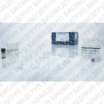 Набор QIAamp DSP DNA Blood Mini Kit для выделения ДНК из крови с РУ50 реакций