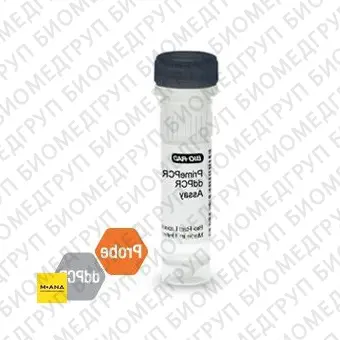 Набор BRCA2 CNV PrimePCR ddPCR, 200 реакций, BioRad, 1863305