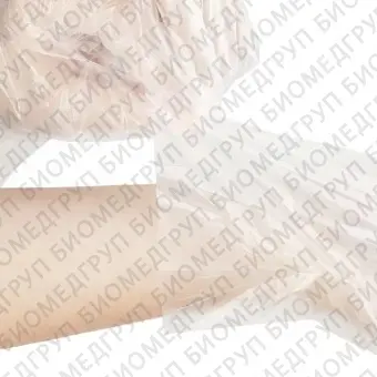 Элегрин, перчатки полиэтиленовые PREMIUM, белые, L, 50 пар