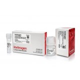 Набор для выделения экзосом Total Exosome Isolation Kit (из плазмы), Thermo FS, 4484450, 6 мл