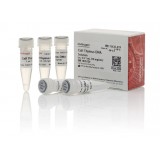 Раствор ДНК тимуса теленка/ Calf Thymus DNA Solution, UltraPure, Thermo FS, 15633019, 5х1 мл