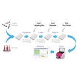 Панель для профилирования ми-РНК, Multiplex miRNA Assay Lung Cancer Panel – Cellular, Abcam, ab204060, 96 тестов