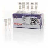 Набор для безлигазного клонирования aLICator LIC Cloning and Expression Kit 2, Thermo FS, K1251, 20 реакций