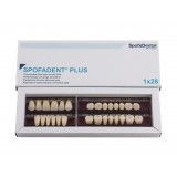 Spofadent Plus (А3) 62-0/11-1/62