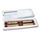 Spofadent Plus (В2) 1/22-0/0-1/72