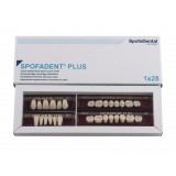 Spofadent Plus (А2) 1/35-0/5-1/65