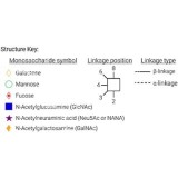 Стандарт N-гликанов AdvanceBio 2-AB Man7 / M7 (ранее ProZyme)